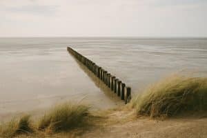 Wattenmeer an der Nordsee bei Ebbe mit Buhne und Dünengras